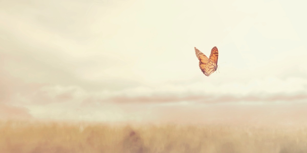 Helping a Loved One at the End of Life