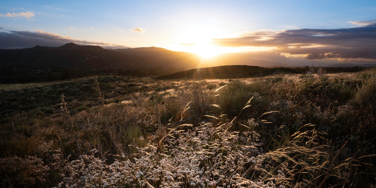 Salus Homecare Servicing Murrieta, CA with Quality Hospice Care at Home 