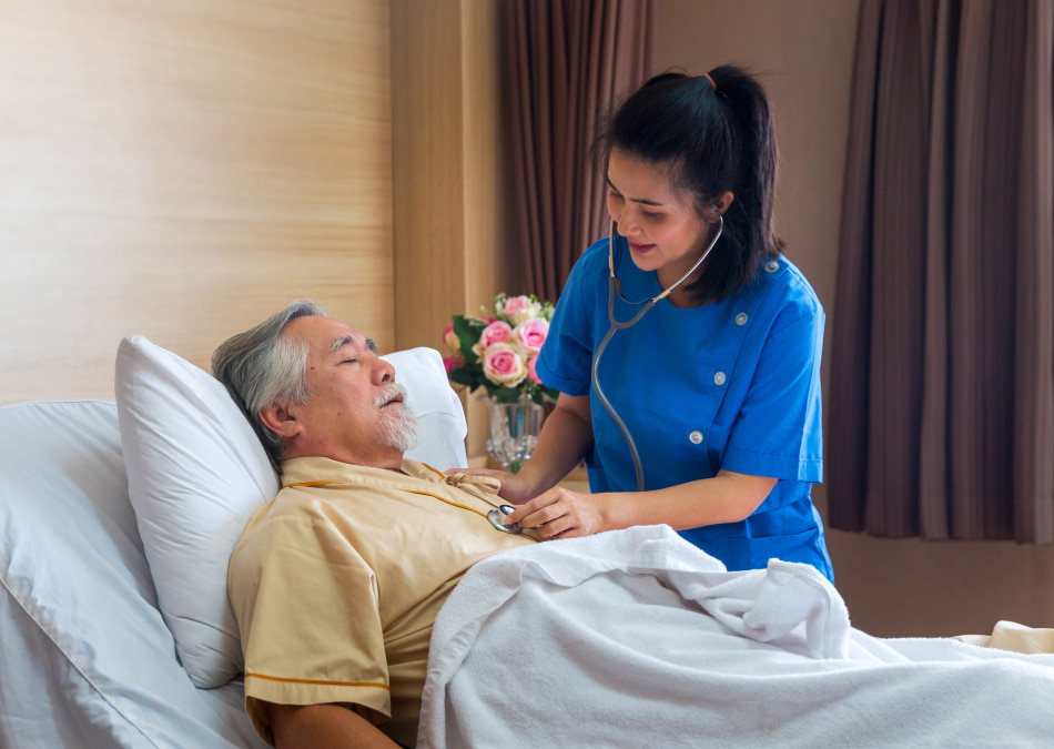 Alzheimer's Hospice Support Provided: