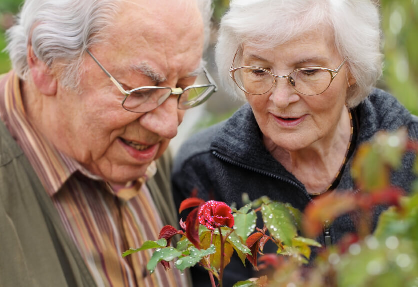 reasons live longer than salus homecare san reasons live longer than salus homecare san