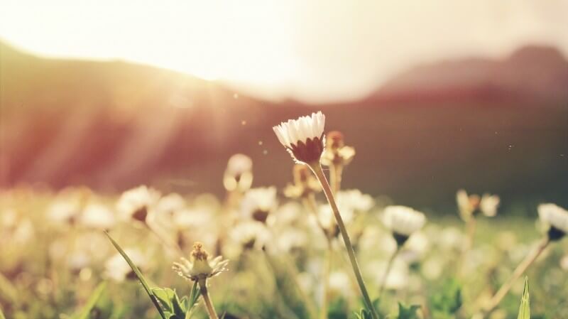 10 Springtime Activities For Seniors In San Diego