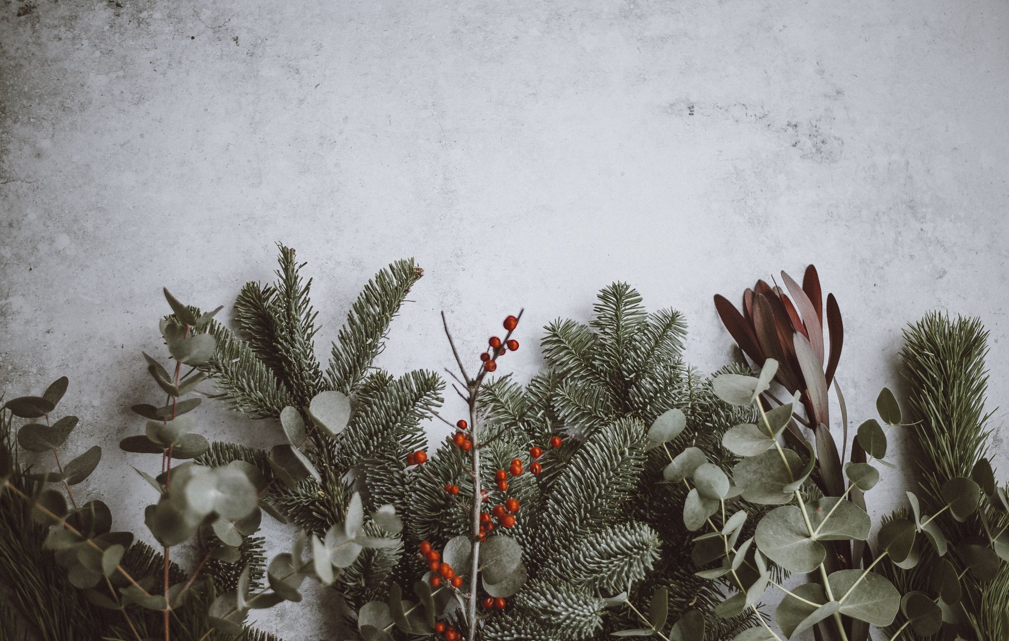 Holiday Events for Seniors in San Fernando Valley