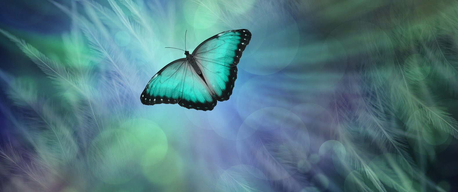 Lessons Learned from a Loved One in Hospice