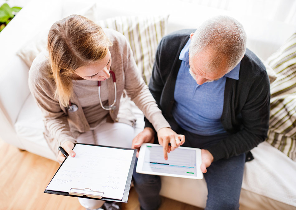 Pellentesque lacinia erat non