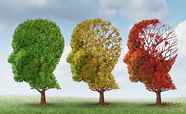 Brainpower Peaks in Different Ways as People Age