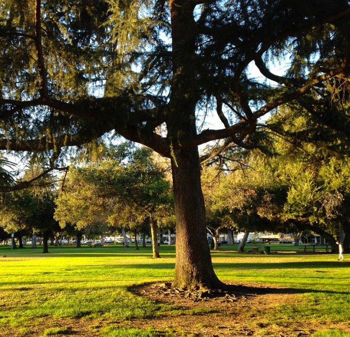  Salus Homecare Servicing Arcadia, CA (91775, 91776) for over 10 years